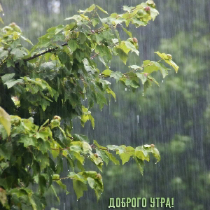 Гуля Хакимзянова