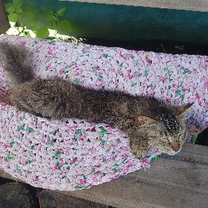 Николай Муха