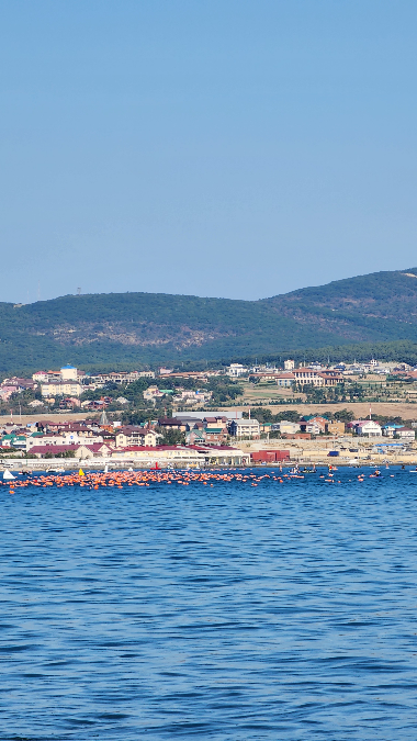 Про позитивное подкрепление 
Были вчера всем клубом на соревнованиях 'Морская миля'.
Кто-то плыл дистанцию, кто-то (и я в том числе) приехала поддержать | Сетка — социальная сеть от hh.ru