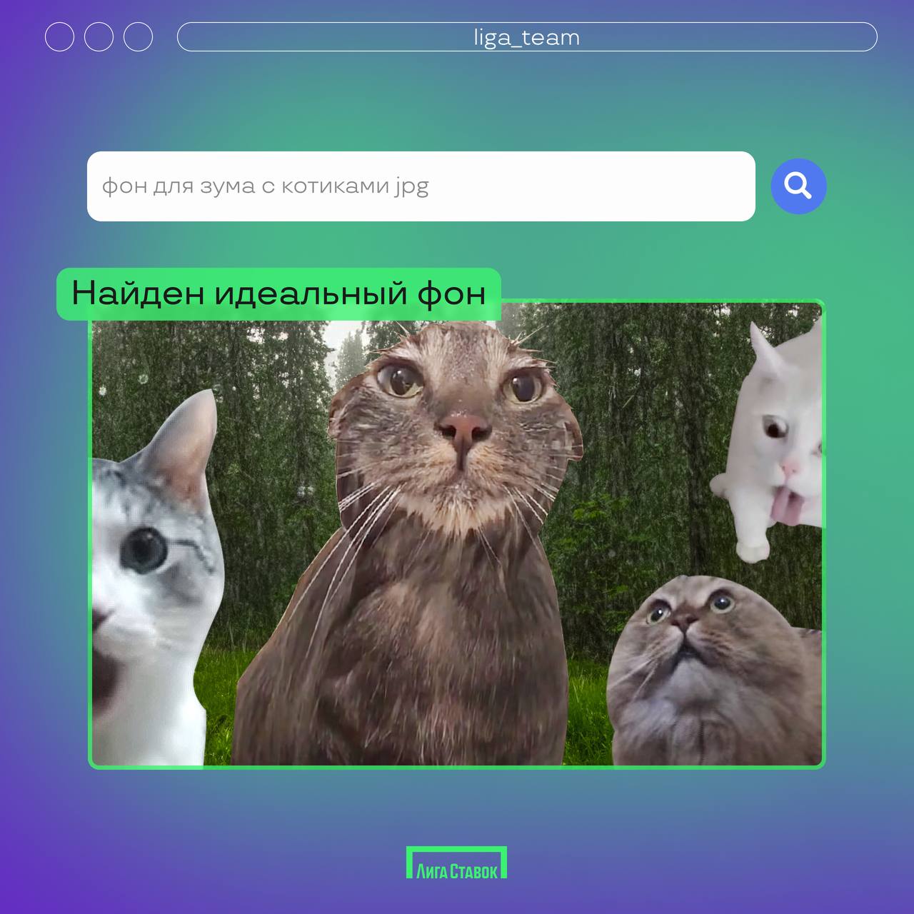 А вы что гуглите на работе? 👀
Спросили у наших сотрудников их последний запрос в поисковике. Раскрываем все секреты в карточках 🤫
#ЛигаСтавок #работавкоманде #LigaTeam | Сетка — социальная сеть от hh.ru