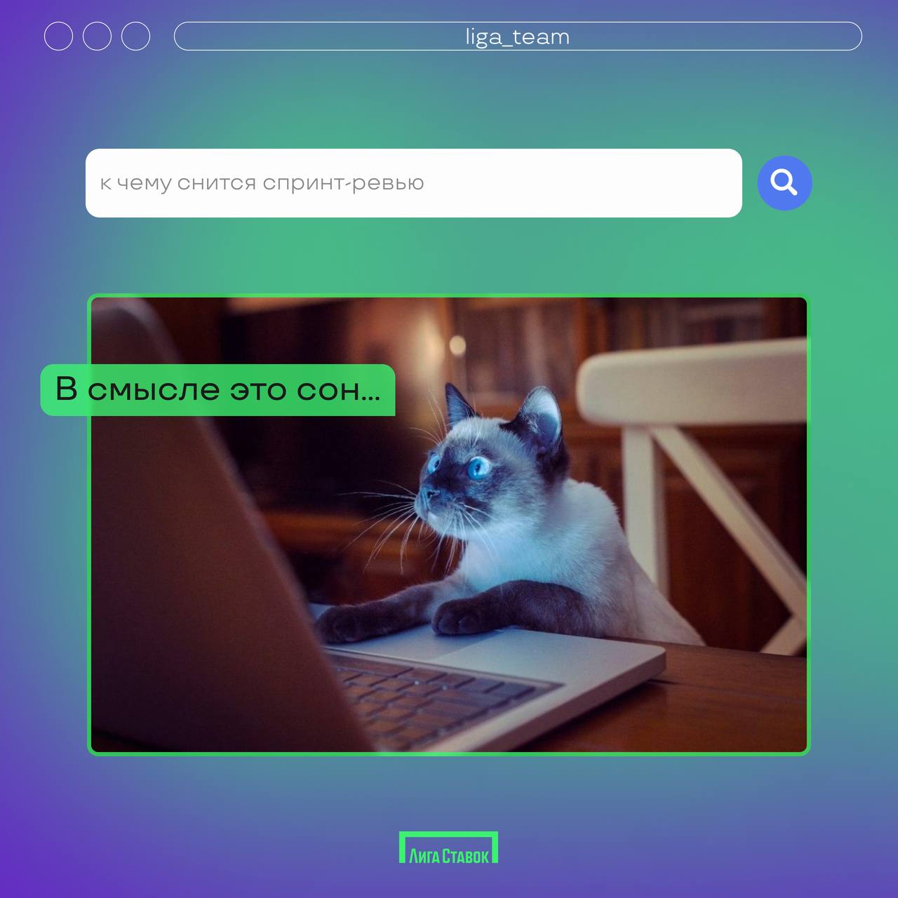 А вы что гуглите на работе? 👀
Спросили у наших сотрудников их последний запрос в поисковике. Раскрываем все секреты в карточках 🤫
#ЛигаСтавок #работавкоманде #LigaTeam | Сетка — социальная сеть от hh.ru