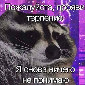 Енот непонимающий