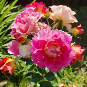 Татьяна Нк | Сетка — социальная сеть от hh.ru