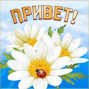 Людмила Голомидова