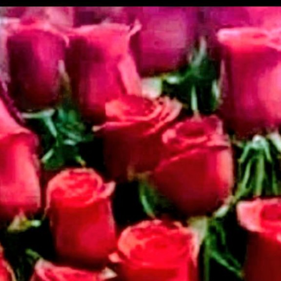 Зухрахон Гофорова