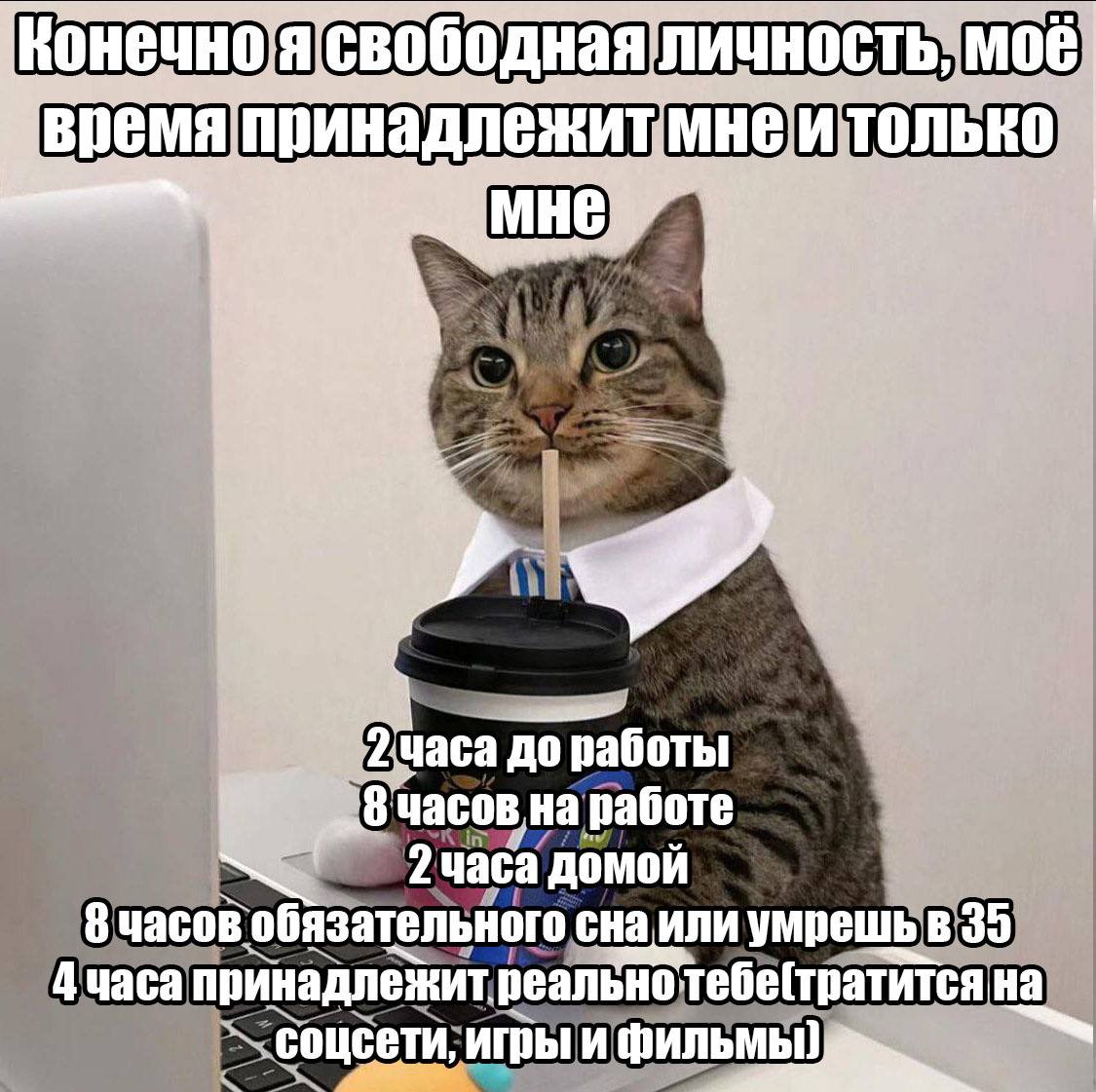 Сетка — социальная сеть от hh.ru