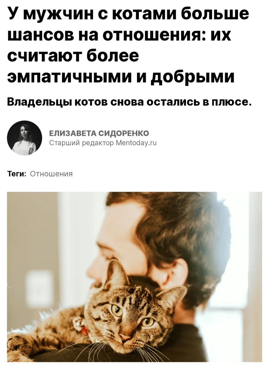 Исследование: парни с котами нравятся девушкам сильнее, чем без пушистых рядом. Почти половина опрошенных женщин признались, что скорее заведут отношения с мужчиной-кошатником | Сетка — социальная сеть от hh.ru