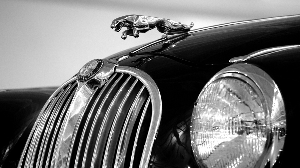 Best car 🚗 garage
🖤 https://t.me/luxurygarages
#luxurycargarages | Сетка — социальная сеть от hh.ru