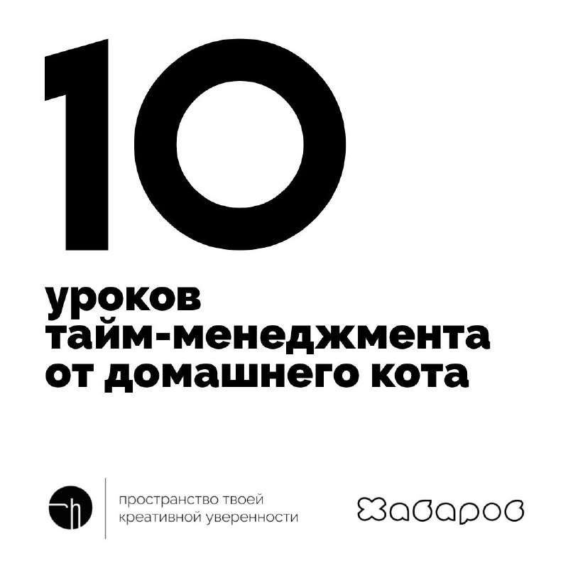 Неделя ПЦ, день третий. Смотрим на домашнего кота, берём у него уроки тайм-менеджмента.
#10идейвдень by @creativehappens | Сетка — социальная сеть от hh.ru