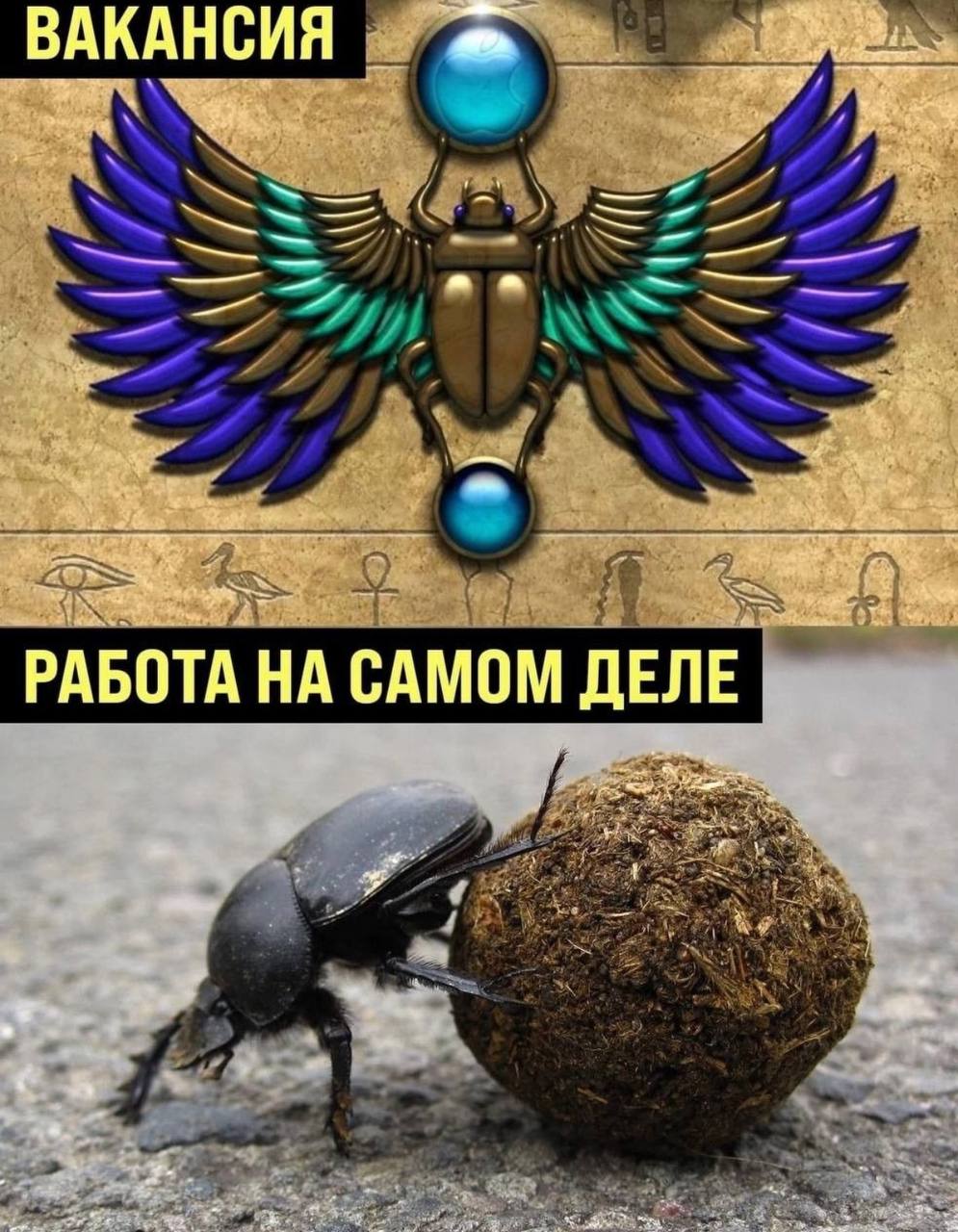 Сетка — социальная сеть от hh.ru