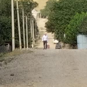 Жапар Рогшор