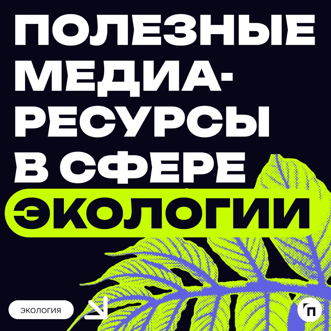 Природа – это книга, которую надо прочитать и правильно понять.
Мы же предлагаем к прочтению подборку самых актуальных экологических телеграм-каналов | Сетка — социальная сеть от hh.ru