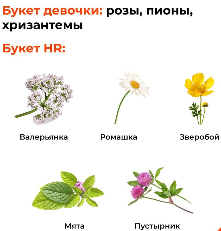Идея для подарка эйчару на праздники.😁
А какой букет у вас? Ставьте реакции:
💯 - если ваш любимый букет
😁 - не нервничаете настолько на работе
😈 - нужен "букет" посерьезнее
#HR #Humanconf #юмор | Сетка — социальная сеть от hh.ru