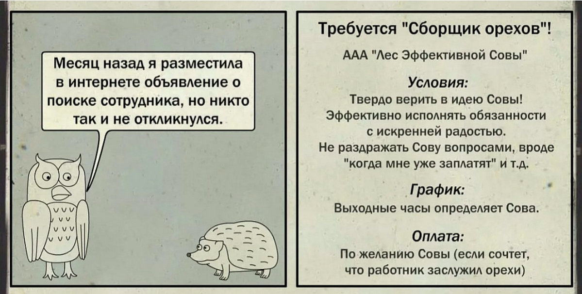 Скоро буду перебирать предложения о работе 😋 | Сетка — социальная сеть от hh.ru