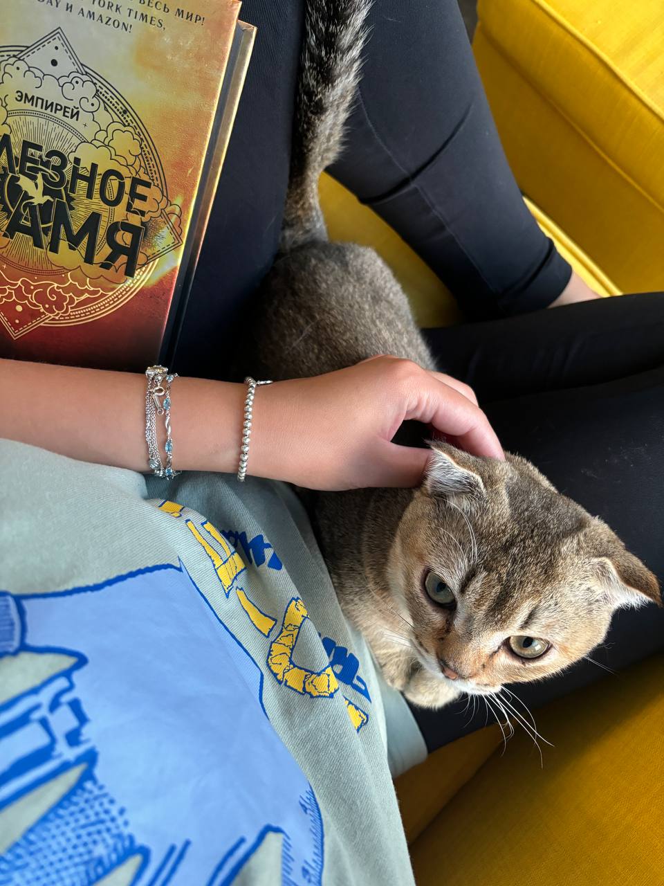 Только что дочитала 909 и последнюю страницу второй части Эмпирей «Железное пламя», о первой «Четвертое крыло) писала тут | Сетка — социальная сеть от hh.ru