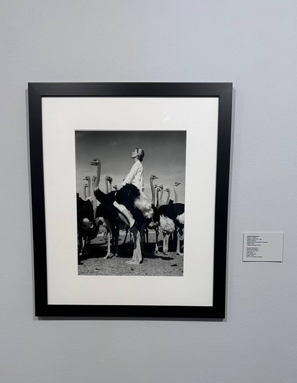 Снобизм 
Недавно поймала себя на мысли, что иногда становлюсь немного снобом в плане культурных развлечений | Сетка — социальная сеть от hh.ru