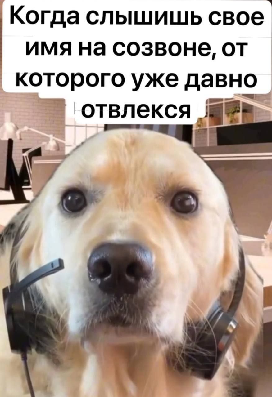 Сетка — социальная сеть от hh.ru