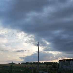 Диана Михеева