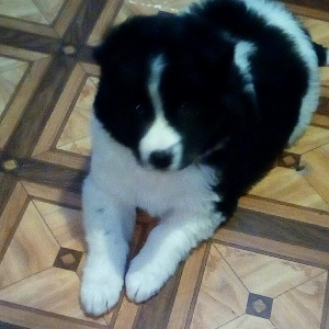 Юлия Кочнева