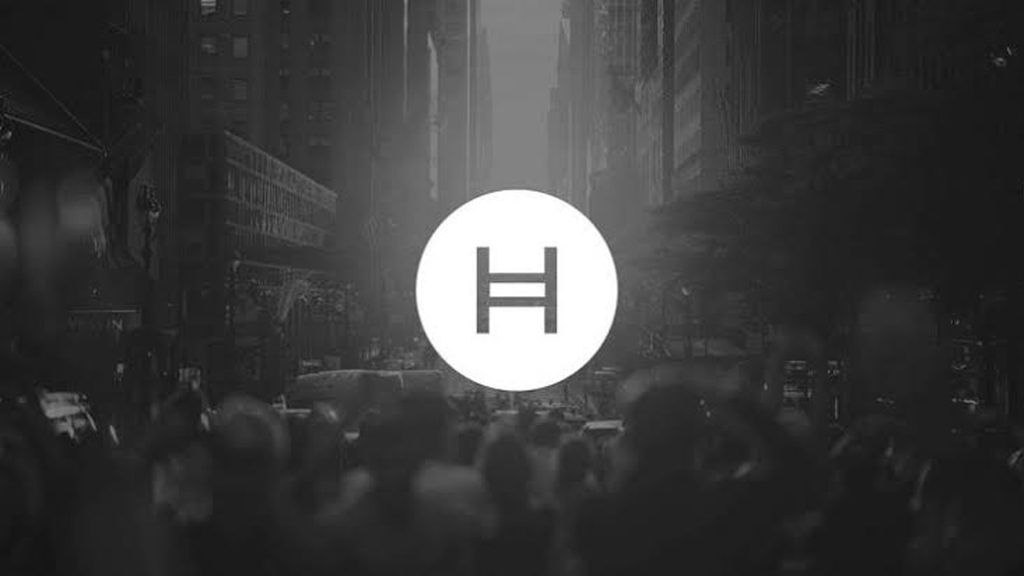 Hedera Blockchain представляет новыые услуги по хранению и стейкингу | Сетка — социальная сеть от hh.ru