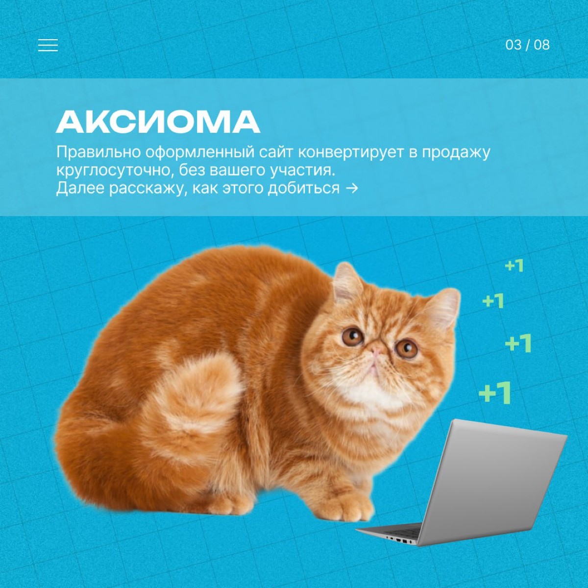 🔥 Как увеличить конверсию сайта без повышения бюджета | Сетка — социальная сеть от hh.ru