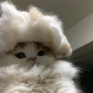 Вктория Кащавцева | Сетка — социальная сеть от hh.ru