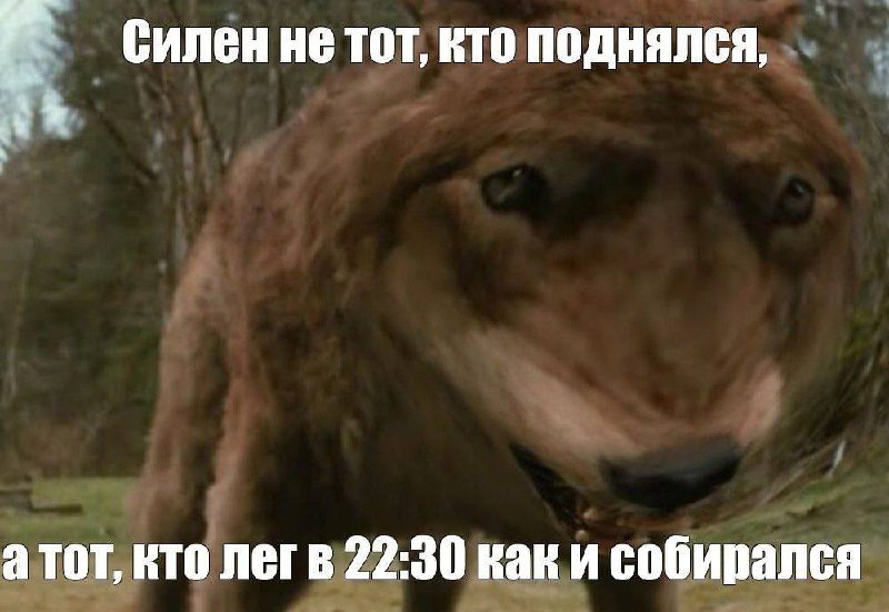 «Я сегодня проиграл, но завтра, может быть и выиграю. А может быть и нет, но я всё равно не буду сдаваться»
😀😀 | Сетка — социальная сеть от hh.ru