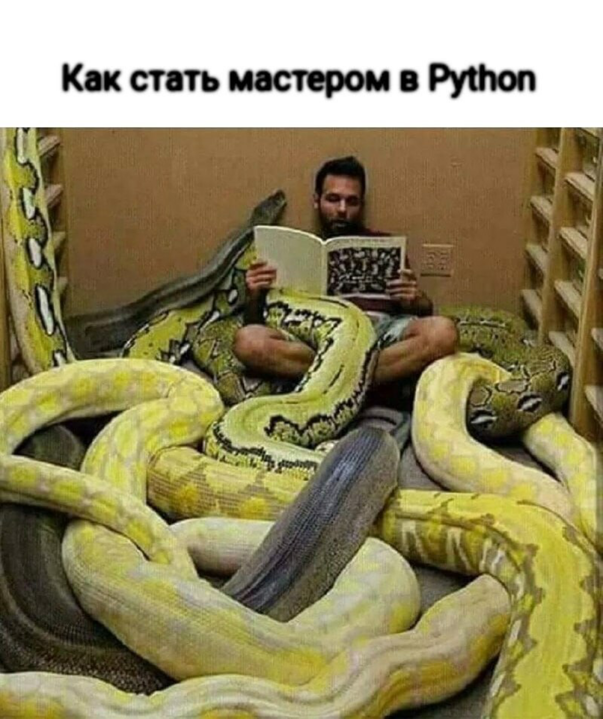 Сетка — социальная сеть от hh.ru