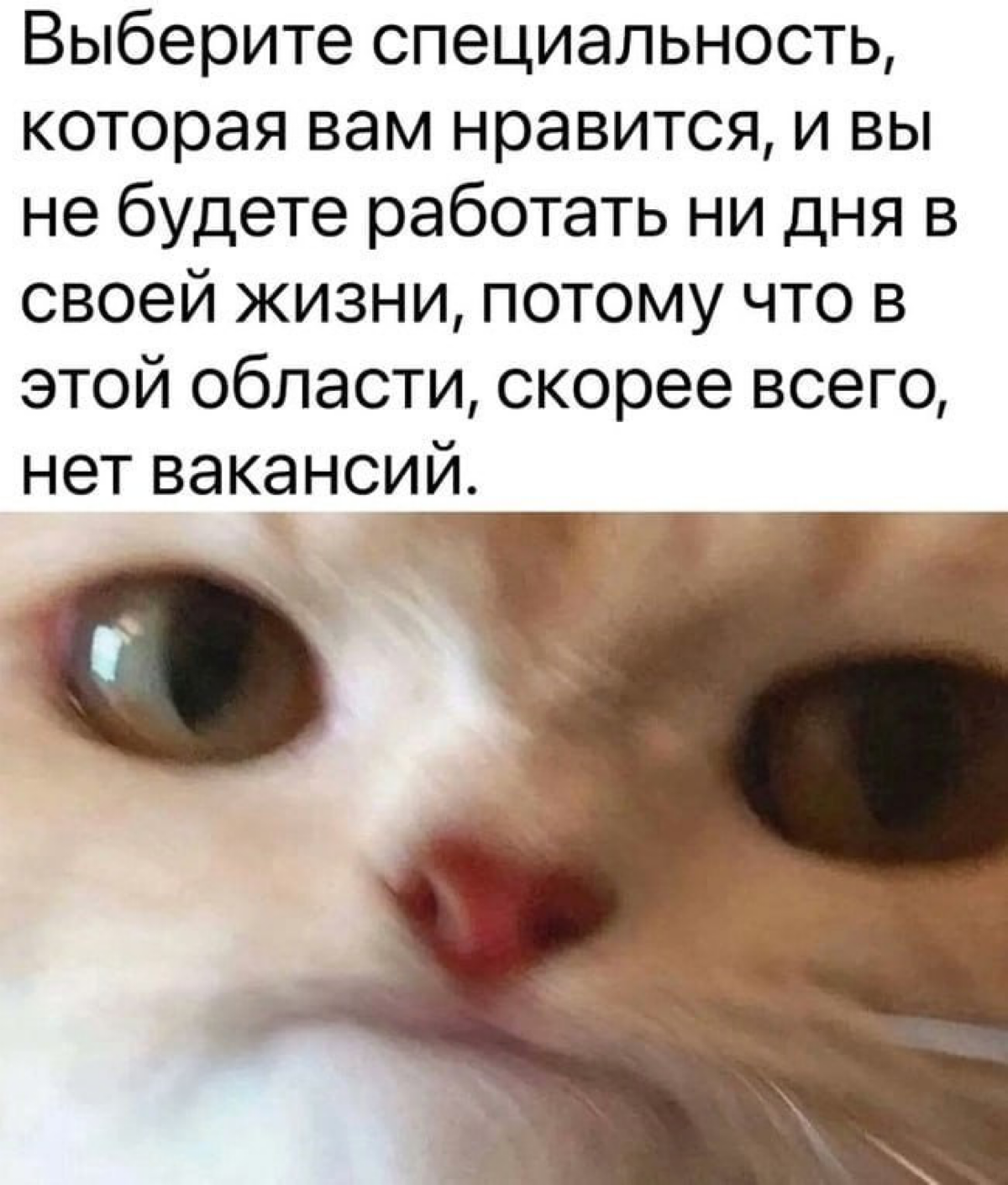 Сетка — социальная сеть от hh.ru