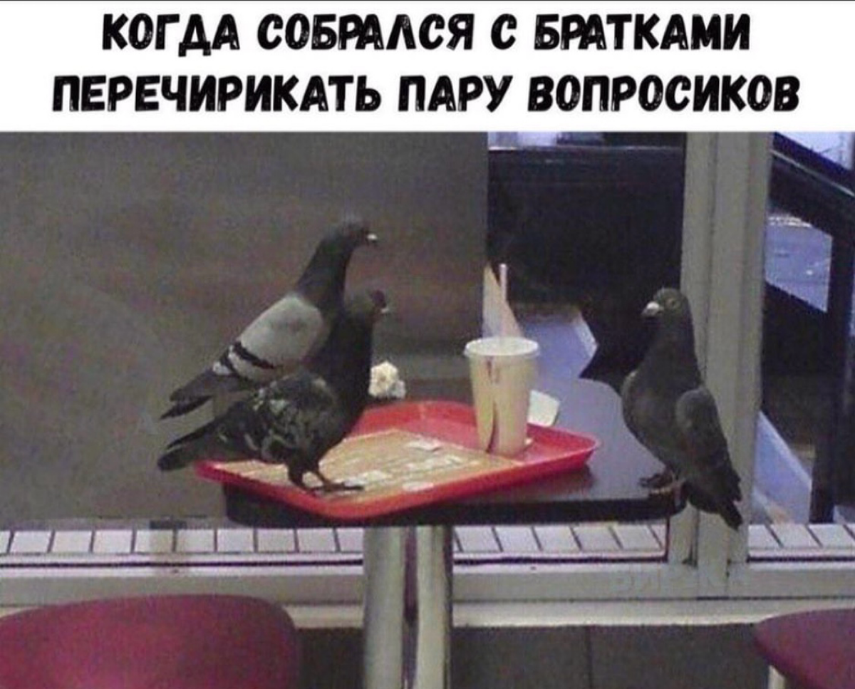 Когда любимые коллеги назначают встречу во время обеда | Сетка — социальная сеть от hh.ru