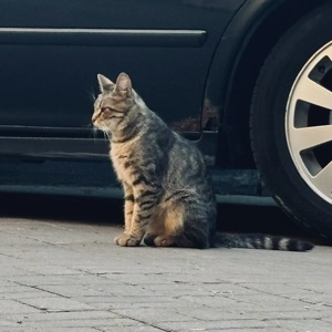 Лилиана Мосягина | Сетка — социальная сеть от hh.ru