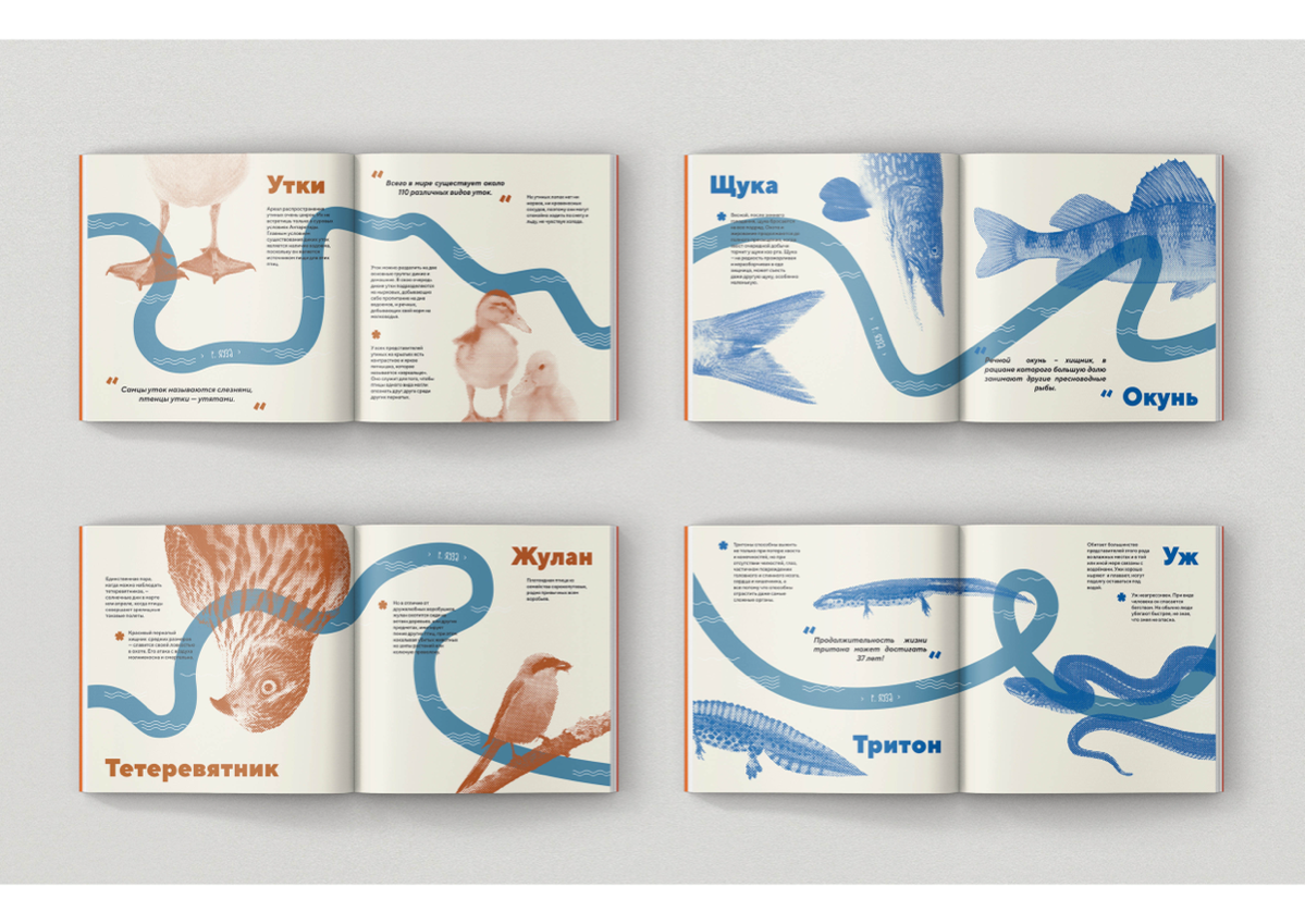 Никита Верещагин