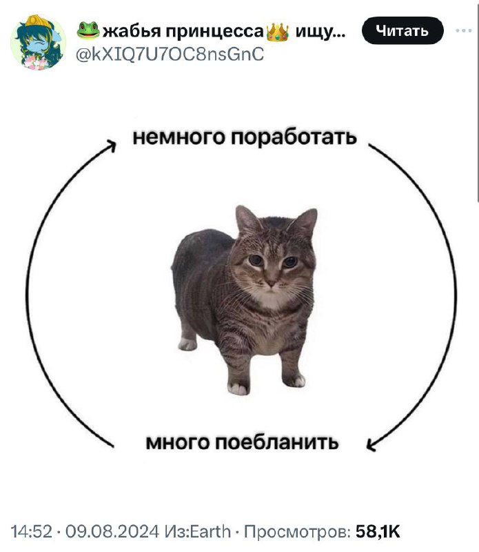 Идеальная схема любого рабочего дня, особенно пятницы:
🍕зумеры любят пиццу? | Сетка — социальная сеть от hh.ru