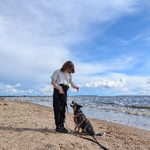 Станислав Медведев | Сетка — социальная сеть от hh.ru