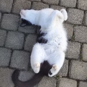 Михаил Рыбцов | Сетка — социальная сеть от hh.ru