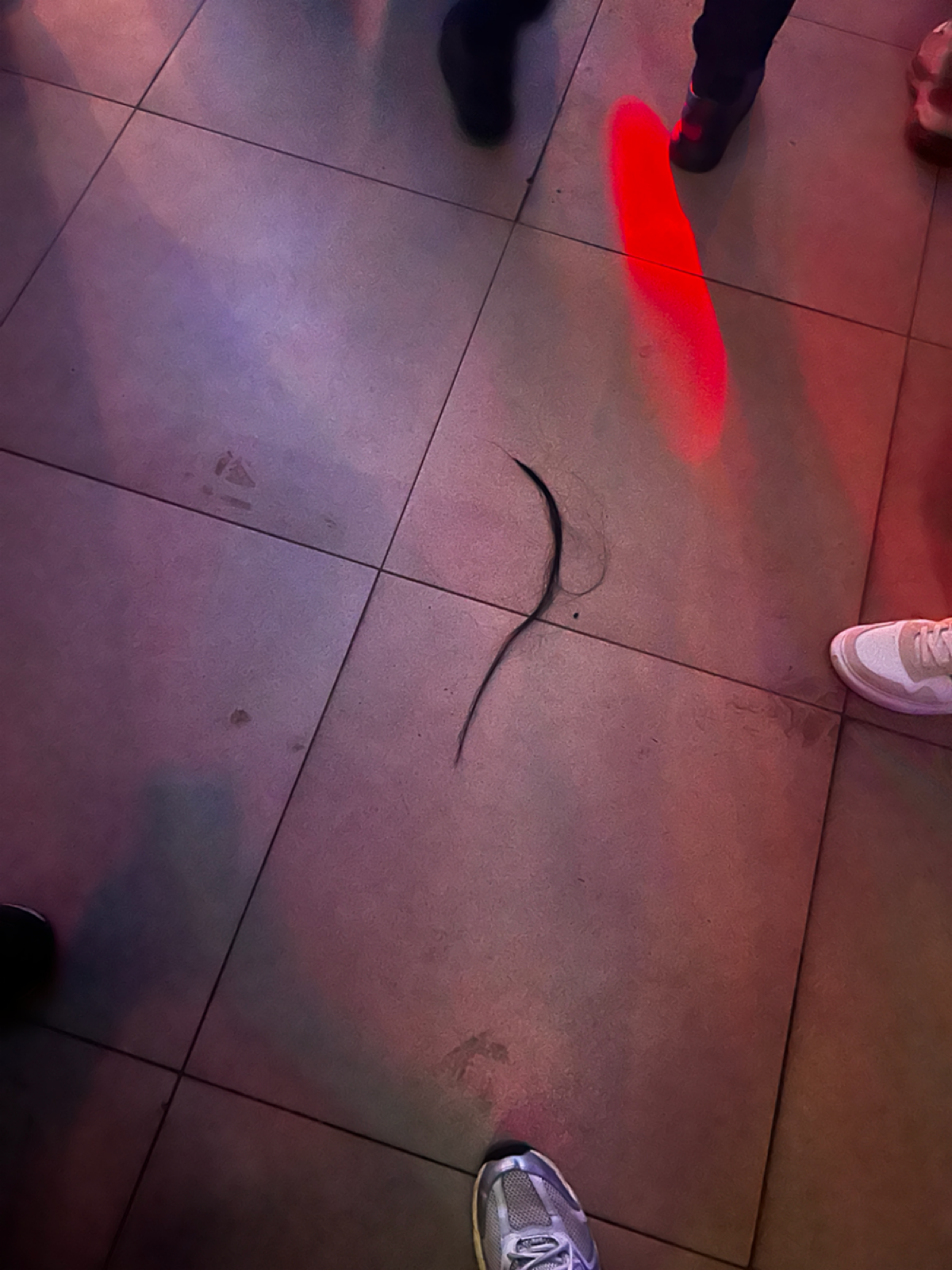 Делали вечеринку в родном городе, самые яркие события.
На видео интереснее, но хз как тут их грузить | Сетка — социальная сеть от hh.ru