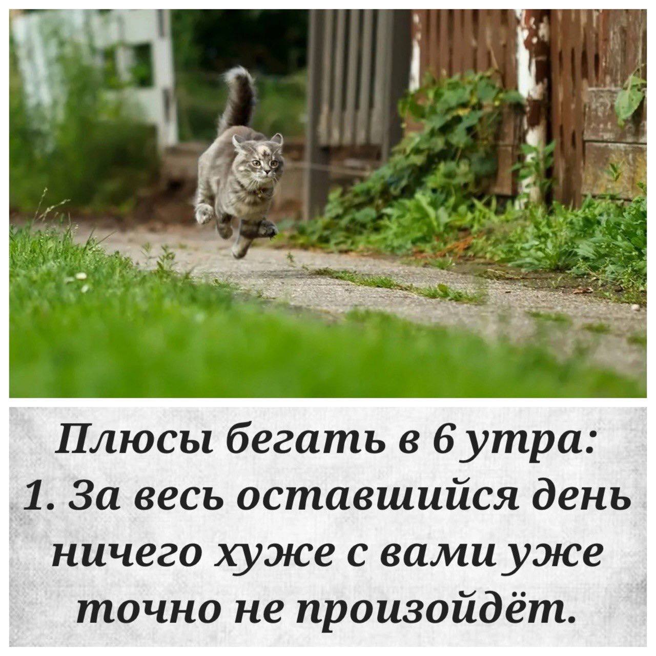 Собрали все посты недели в один:
➡️ подборка удаленных работодателей от hh
➡️ баланс между жизнью и работой
➡️ гайд для получения Карты шансов в Германию
➡️ как скоро ИИ заменит человека?
➡️ неудачи и... | Сетка — социальная сеть от hh.ru
