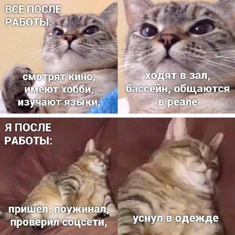 Собрали все посты недели в один:
➡️ подборка удаленных работодателей от hh
➡️ баланс между жизнью и работой
➡️ гайд для получения Карты шансов в Германию
➡️ как скоро ИИ заменит человека?
➡️ неудачи и... | Сетка — социальная сеть от hh.ru