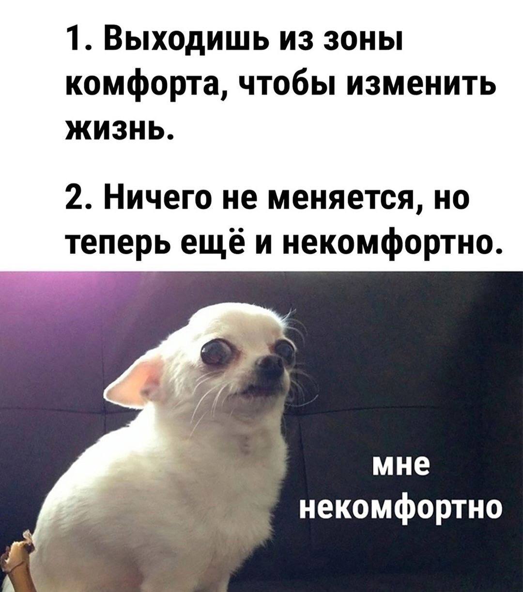 Собрали все посты недели в один:
➡️ подборка удаленных работодателей от hh
➡️ баланс между жизнью и работой
➡️ гайд для получения Карты шансов в Германию
➡️ как скоро ИИ заменит человека?
➡️ неудачи и... | Сетка — социальная сеть от hh.ru