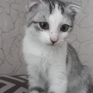 Катя Хаметова | Сетка — социальная сеть от hh.ru