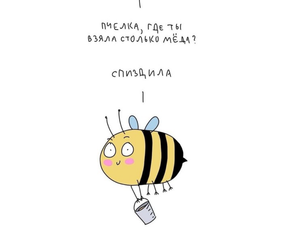 comment image