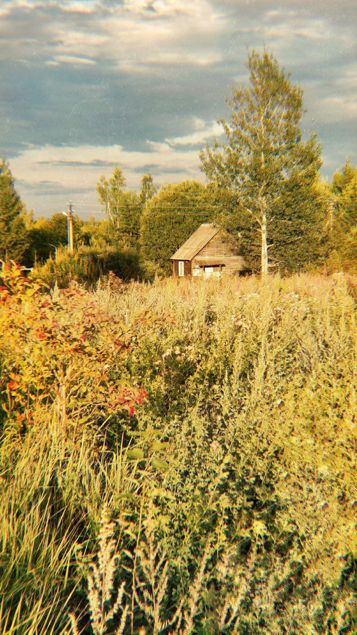 Иногда мне кажется, что мобильная фотография имеет право на жизнь.
Но все равно это исключение, на случай, когда ходишь без фотика | Сетка — социальная сеть от hh.ru