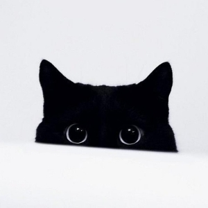 Дима Саюров | Сетка — социальная сеть от hh.ru