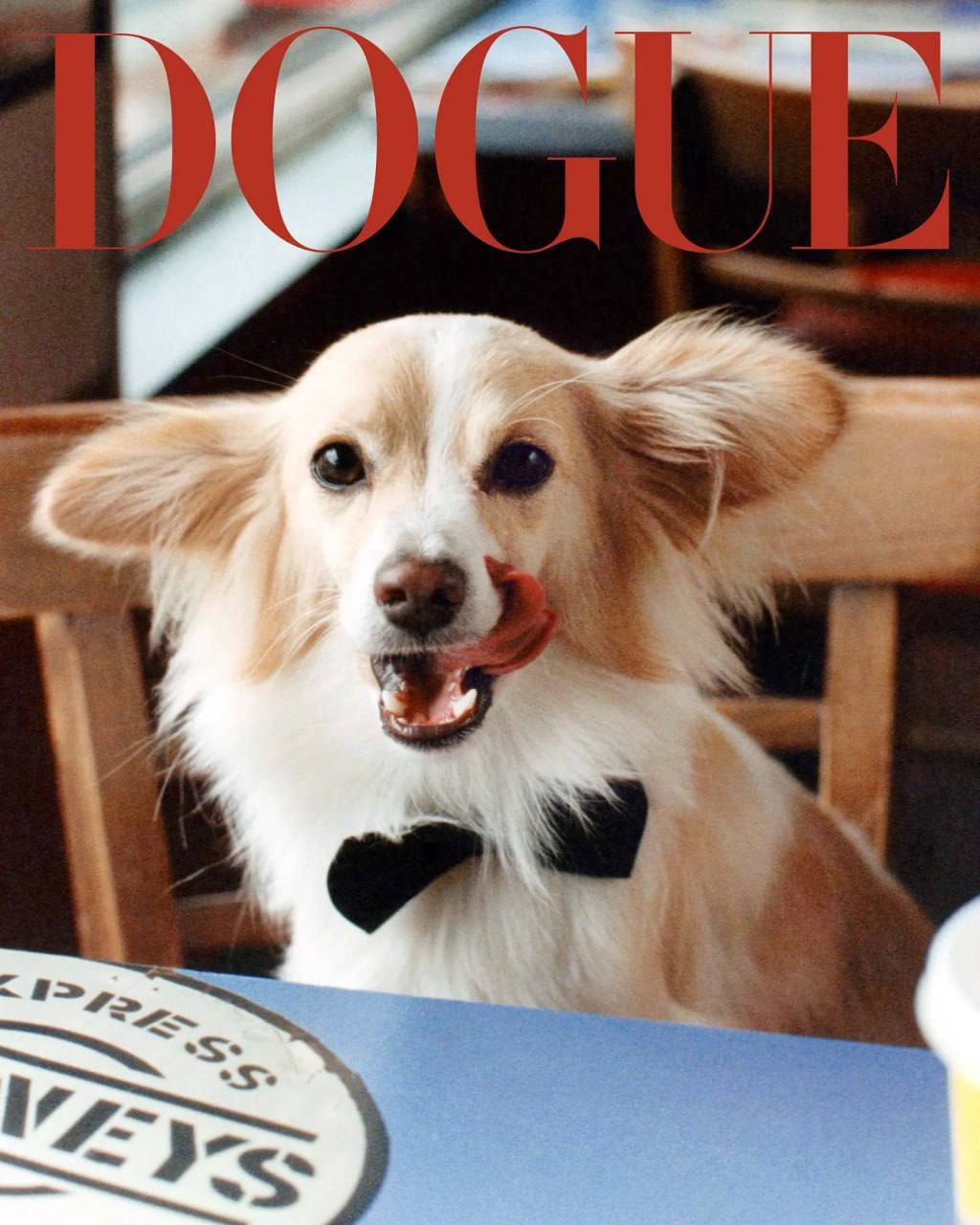 Классный special от VOGUE. Они решили не ограничиваться людьми и взяли в модели собак. Это специальный выпуск они назвали DOGUE.
Собаки, ясное дело звездные | Сетка — социальная сеть от hh.ru