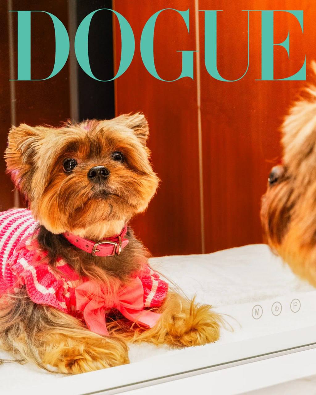 Классный special от VOGUE. Они решили не ограничиваться людьми и взяли в модели собак. Это специальный выпуск они назвали DOGUE.
Собаки, ясное дело звездные | Сетка — социальная сеть от hh.ru