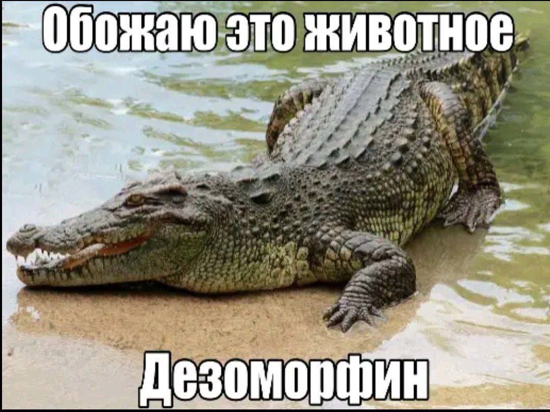 Сетка — социальная сеть от hh.ru