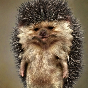 Артём Петров