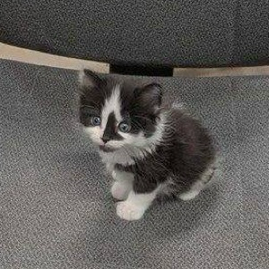 Ужасные менеджеры