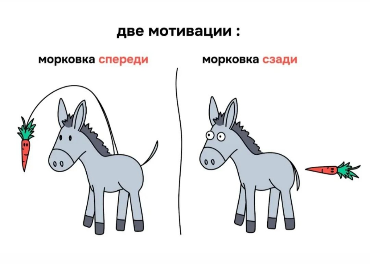 Про мотивацию, и почему-то она работает 🤔 | Сетка — социальная сеть от hh.ru