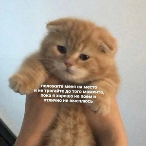 Наталия Красинская | Сетка — социальная сеть от hh.ru